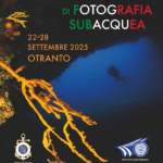 Ital-Box e la tradizione: campionati fotografia subacquea